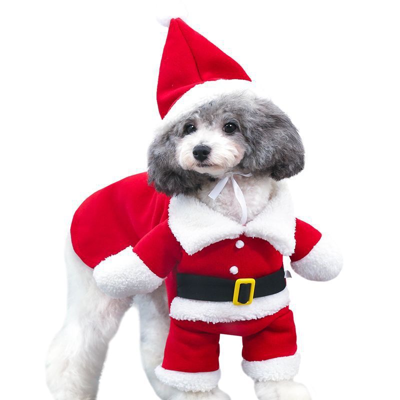 Pet Christmas Costume Standing