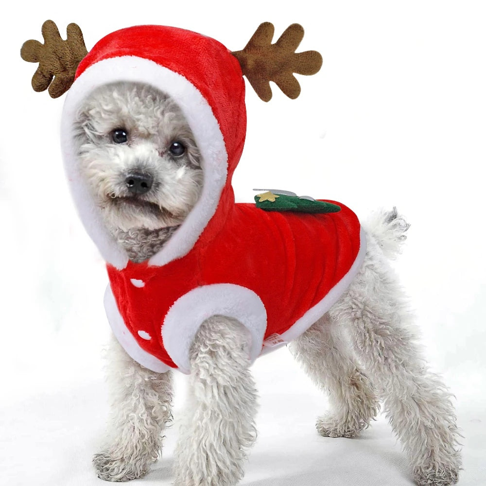 Christmas Dog Coat