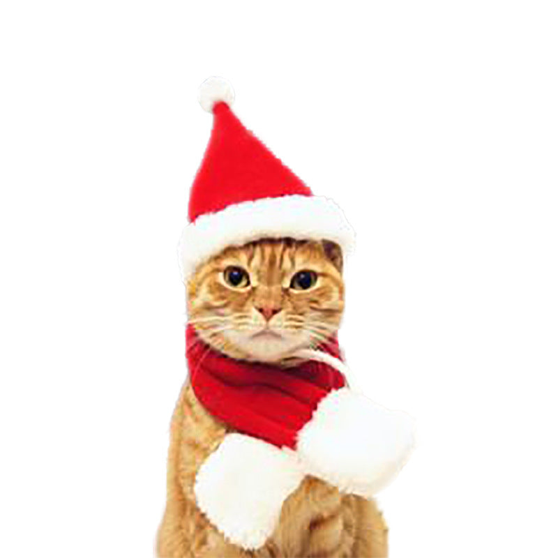 Pet Christmas Cloak Hat Holiday Suit