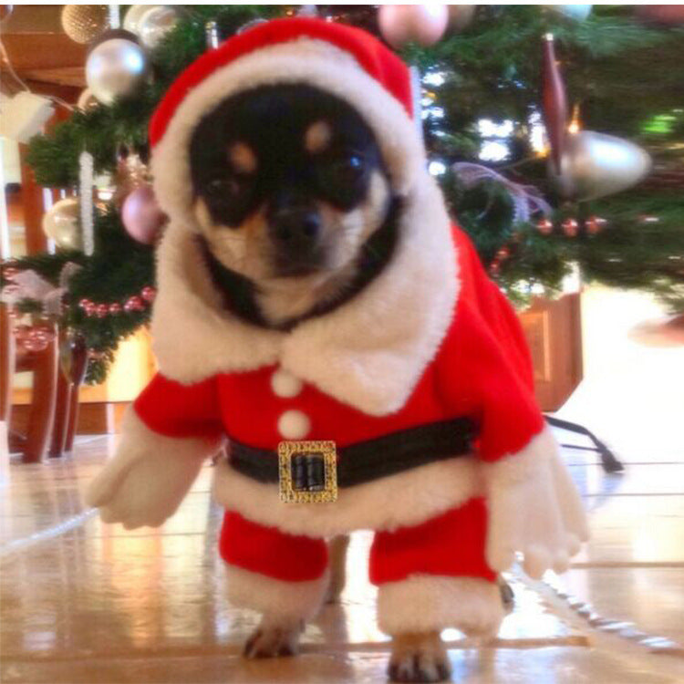 Santa Dog Costume