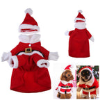 Santa Dog Costume