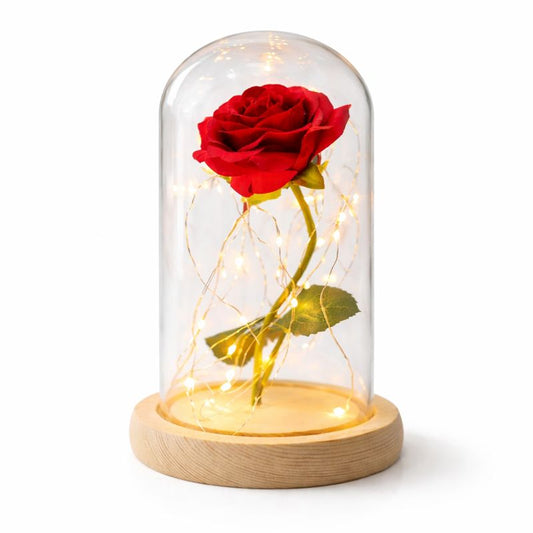 Enchanted Forever Rose Flower in Glass LED Light Christmas Decoration