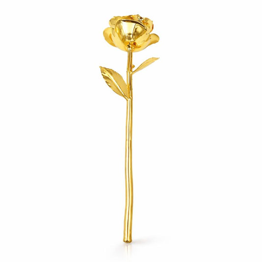 Gold Rose 24K
