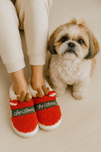 Cozy Elk Slippers