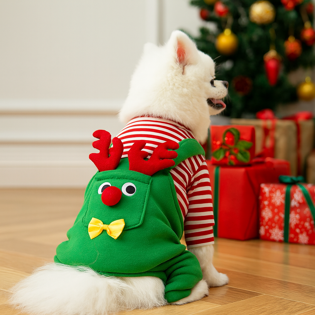 Christmas Clothing
