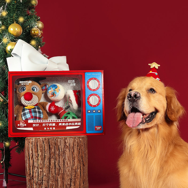 Holiday Teething & Bite-Resistant Pet Toy Gift Box