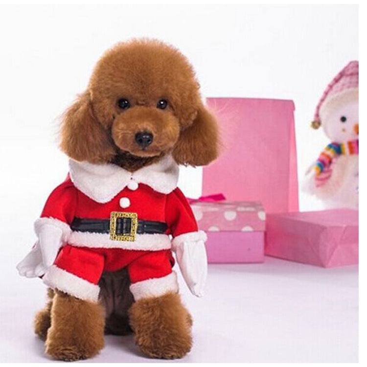 Santa Dog Costume