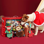 Holiday Teething & Bite-Resistant Pet Toy Gift Box