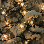 Outdoor Solar LED String Lights
